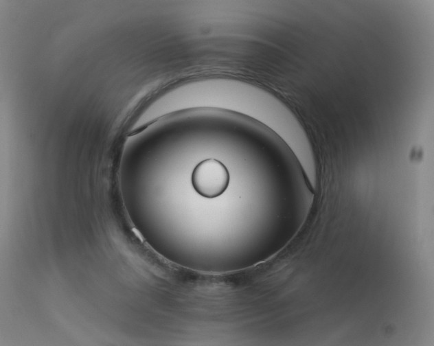 X0000113270304200909171719