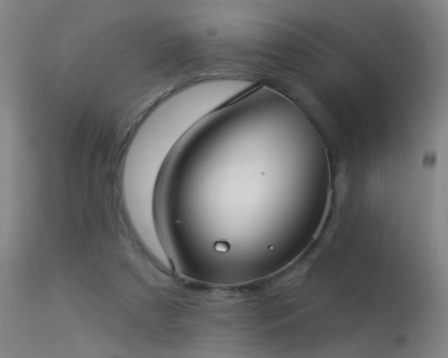 X0000113270305200909171719
