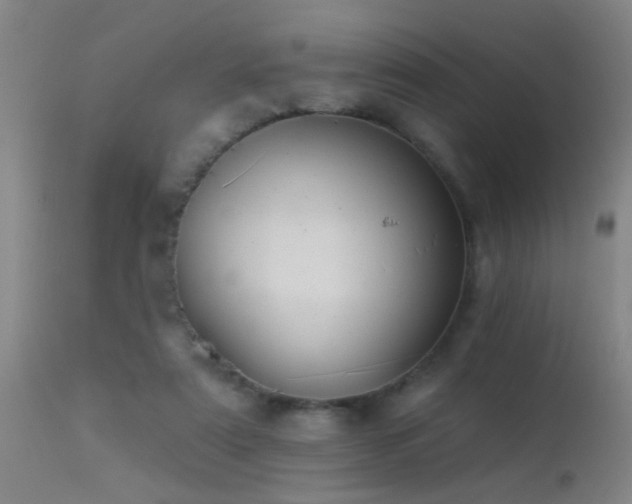 X0000113270307200909171719