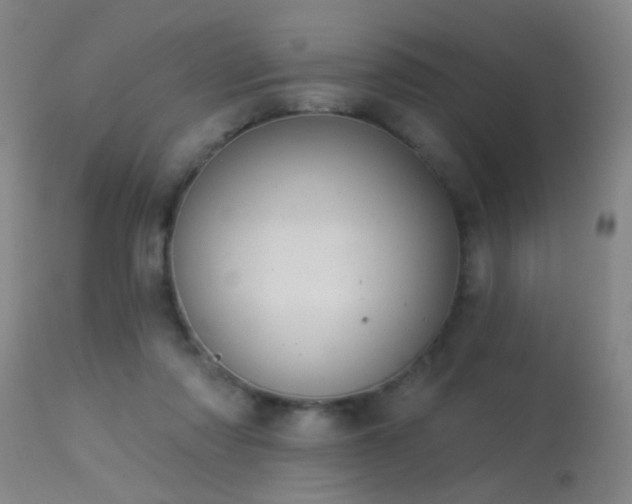 X0000113270310200909171719