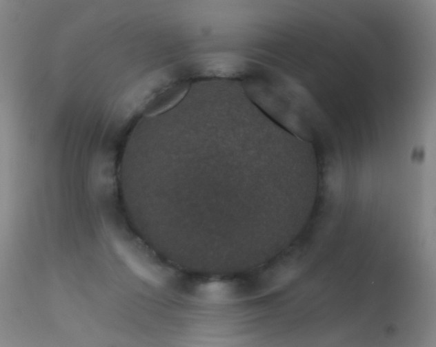 X0000113270312200909171719