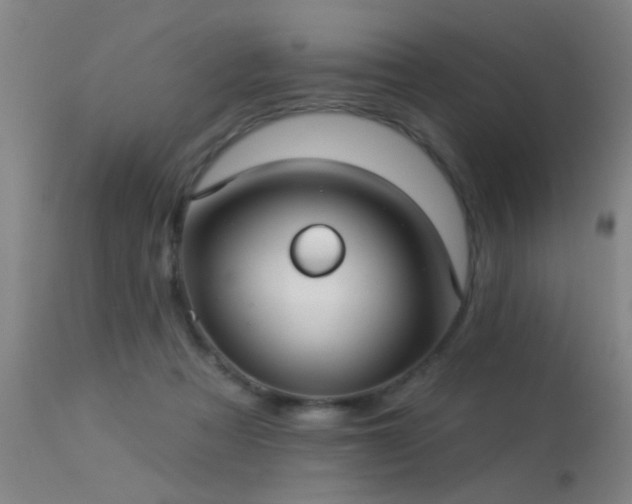 X0000113270313200909171719