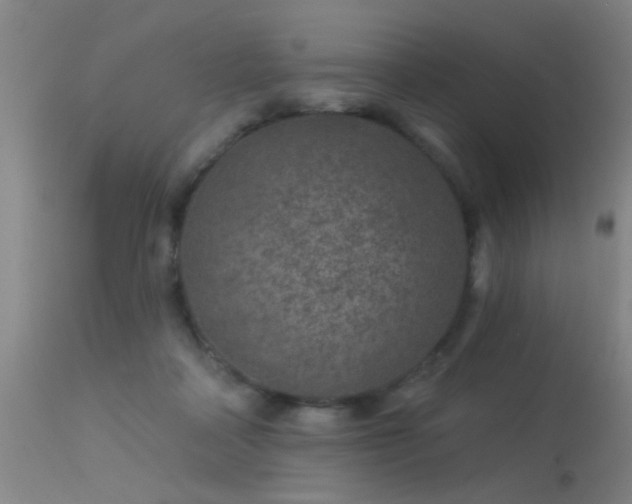 X0000113270314200909171719