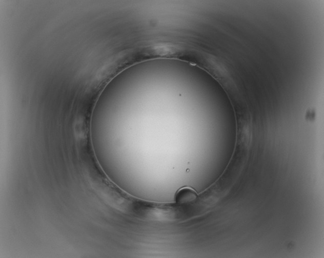 X0000113270317200909171719