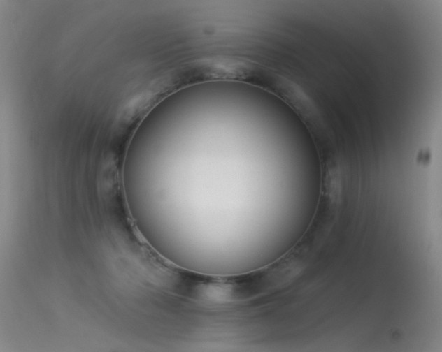 X0000113270318200909171719