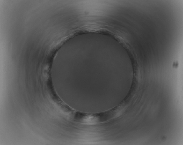 X0000113270319200909171719