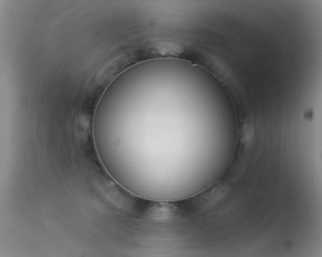 X0000113270321200909171719