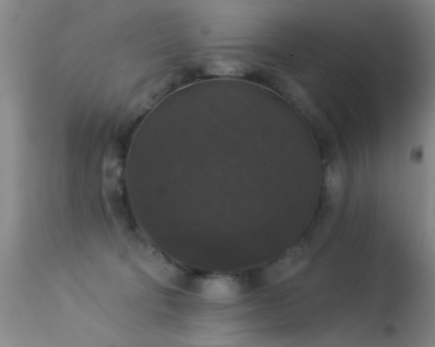 X0000113270322200909171719
