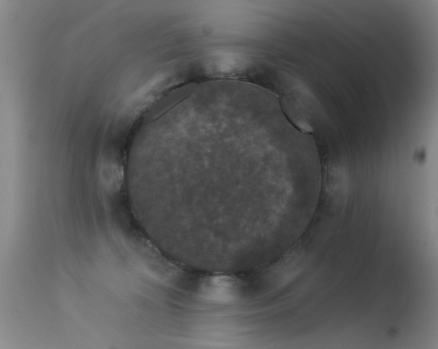 X0000113270324200909171719