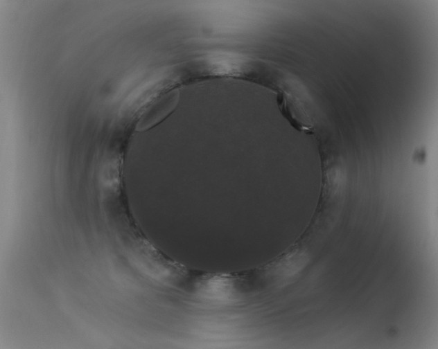 X0000113270325200909171719