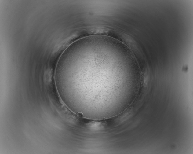 X0000113270326200909171719