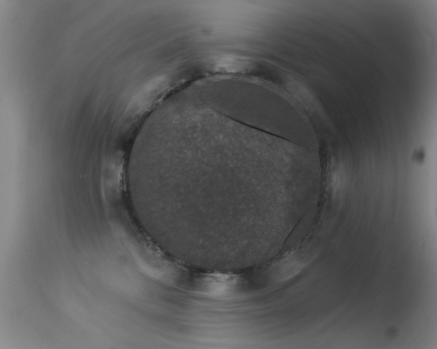 X0000113270328200909171719