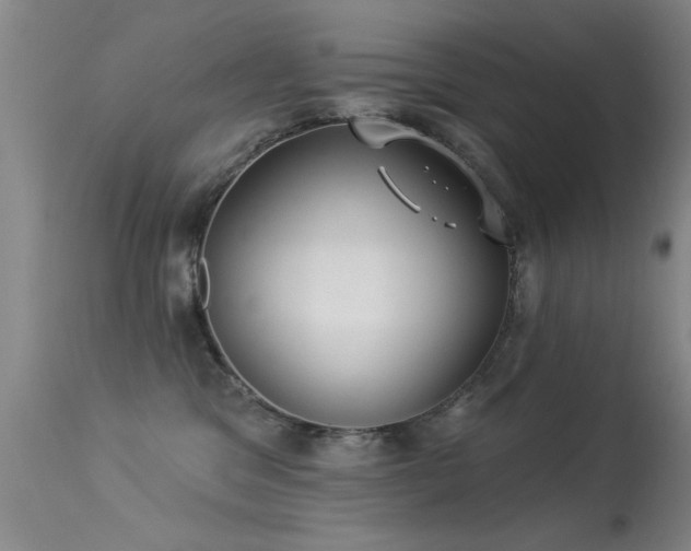 X0000113270329200909171719