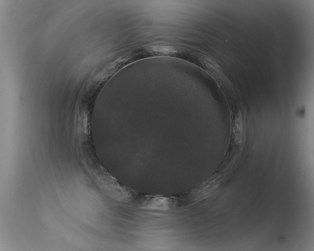 X0000113270330200909171719