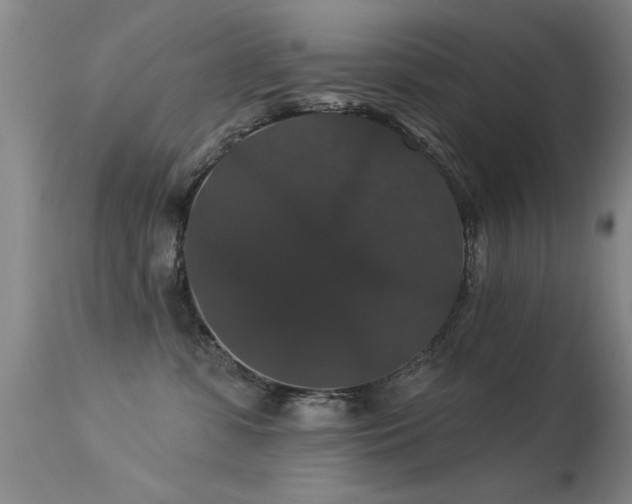 X0000113270331200909171719