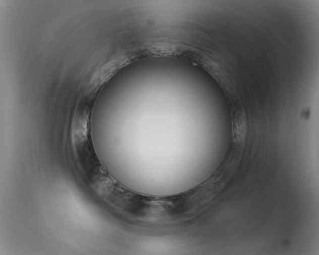 X0000113270334200909171719