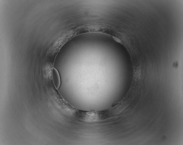 X0000113270335200909171719
