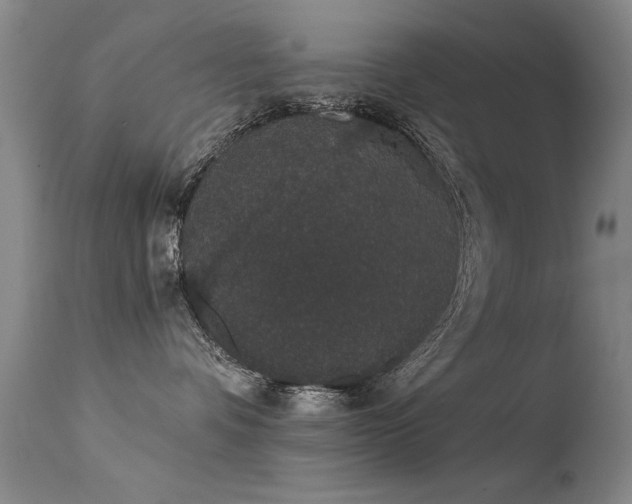 X0000113270336200909171719