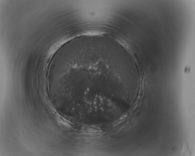 X0000113270337200909171718