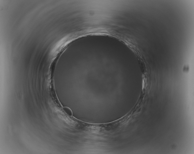 X0000113270339200909171718