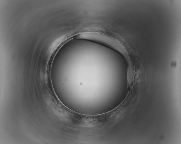 X0000113270340200909171718