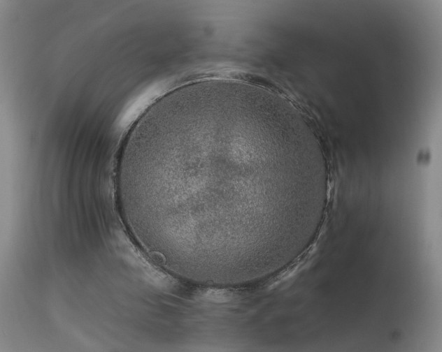 X0000113270341200909171718