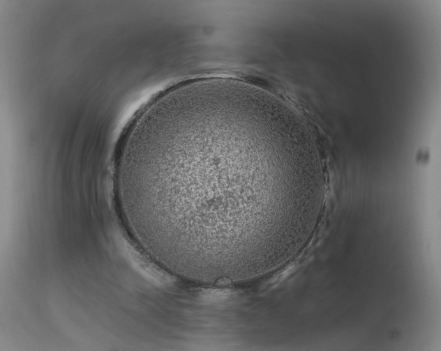 X0000113270342200909171718