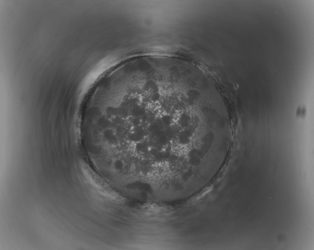 X0000113270343200909171718