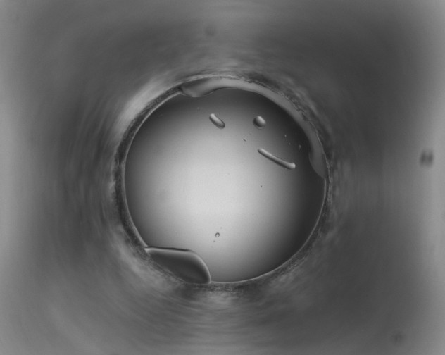 X0000113270344200909171718
