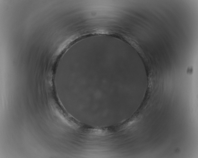 X0000113270347200909171718