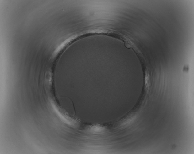 X0000113270348200909171718
