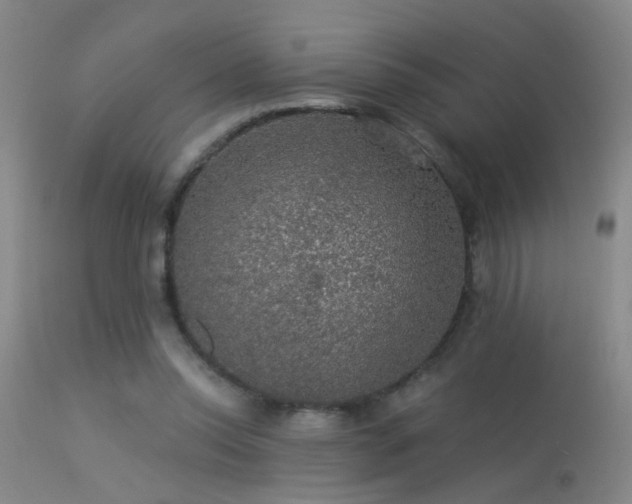 X0000113270350200909171719