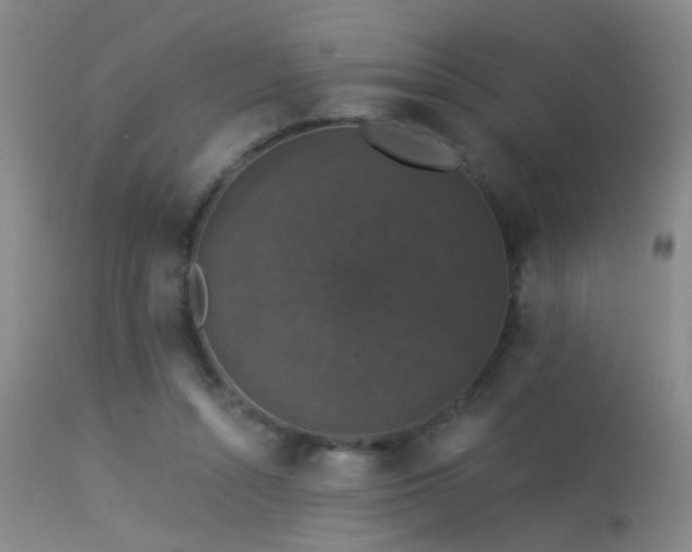 X0000113270352200909171719