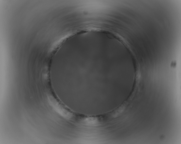 X0000113270353200909171719
