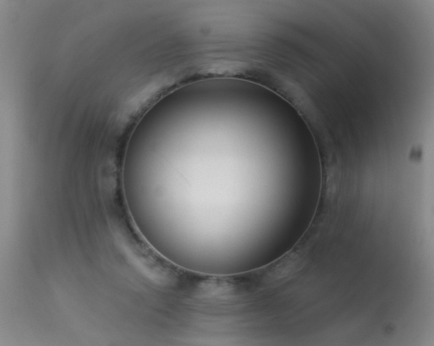 X0000113270354200909171719