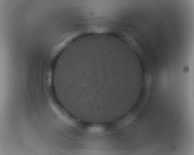 X0000113270358200909171719