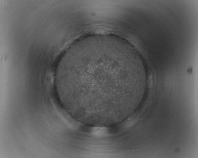 X0000113270363200909171719