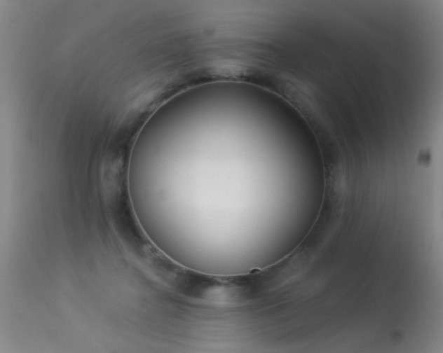 X0000113270364200909171719