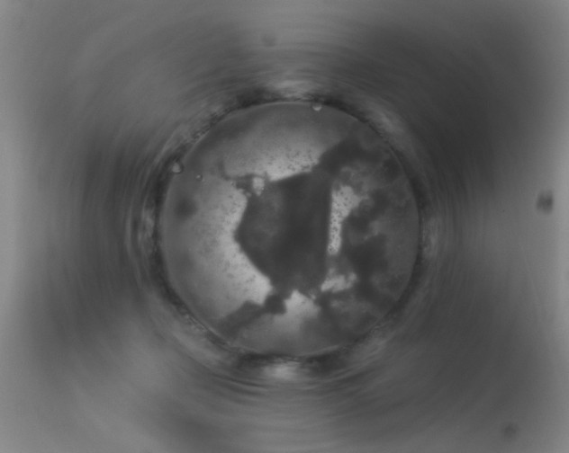 X0000113270365200909171719