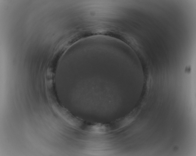 X0000113270366200909171719