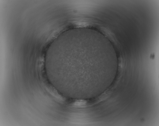 X0000113270369200909171719