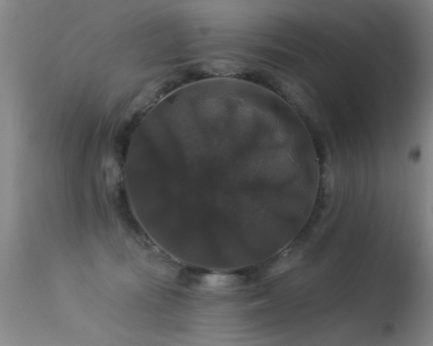 X0000113270371200909171719