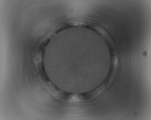 X0000113270372200909171719