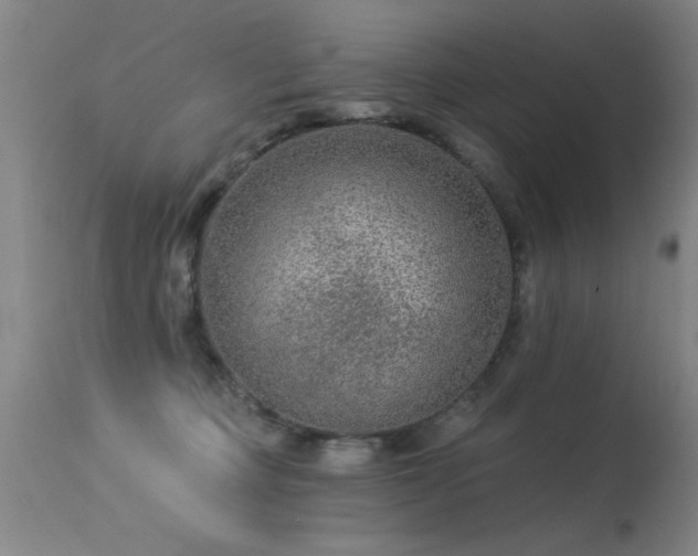 X0000113270373200909171719