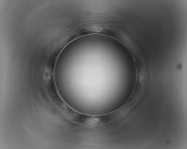 X0000113270374200909171719