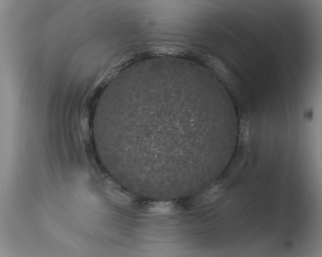 X0000113270377200909171719