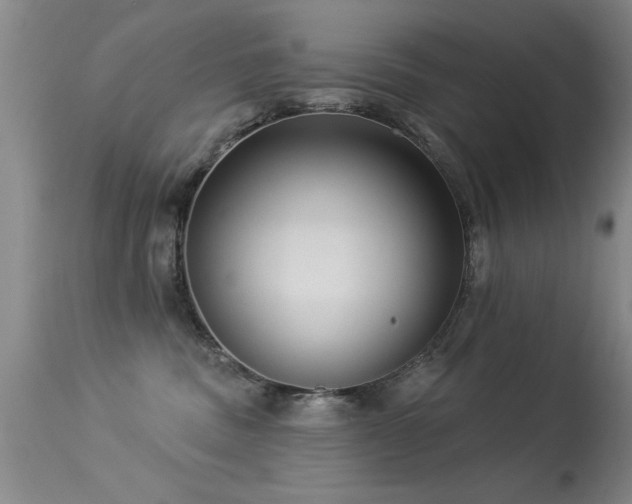 X0000113270379200909171719