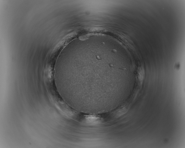 X0000113270380200909171719