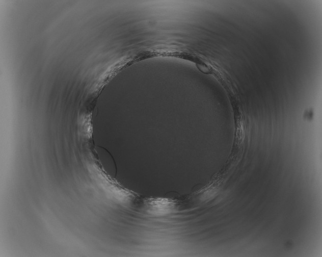 X0000113270383200909171719