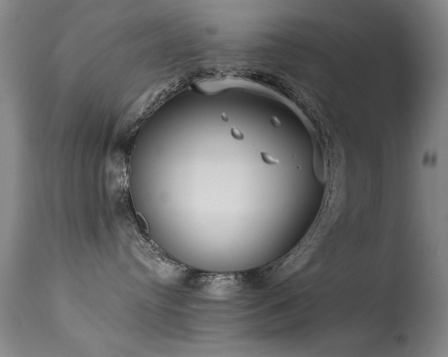 X0000113270384200909171719